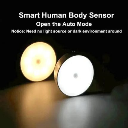 Intelligent induction light