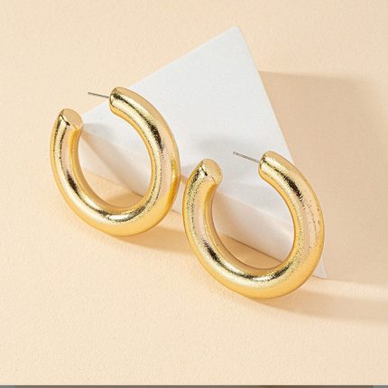 Earrings 22