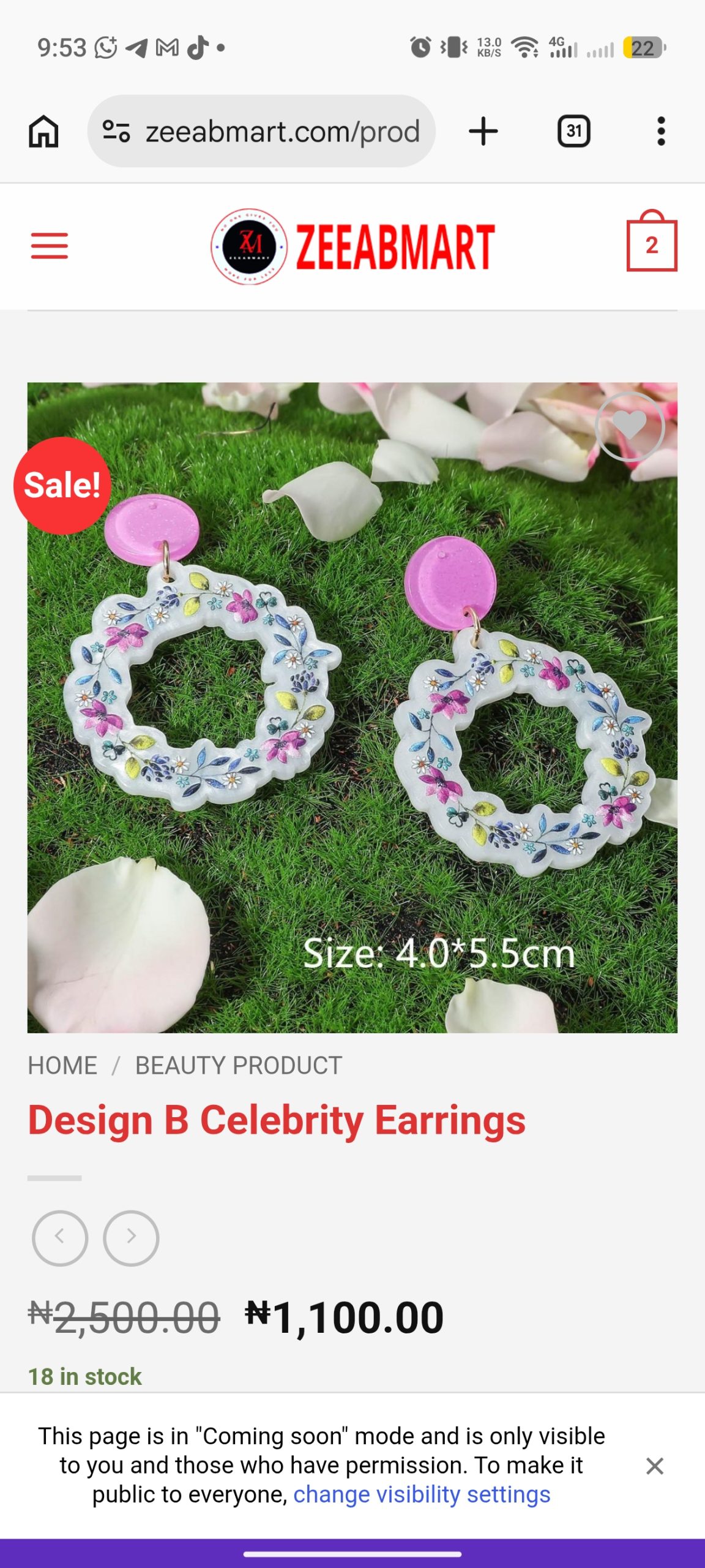 Design B celebrity earrings